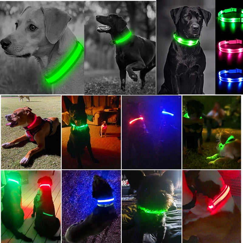 LED犬用首輪