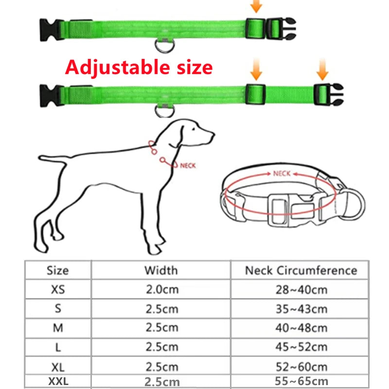 LED犬用首輪